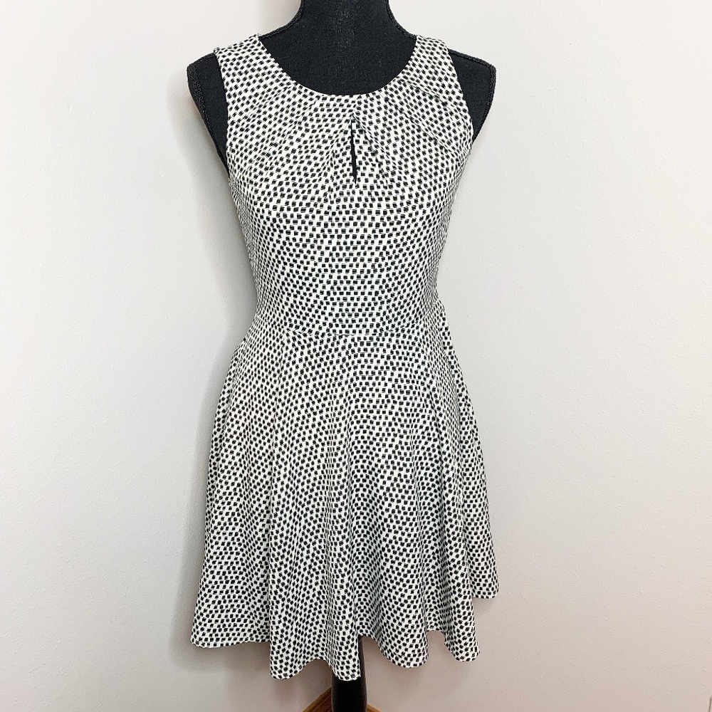 Express Mini Sleeveless Classic Black & White Skater Dress